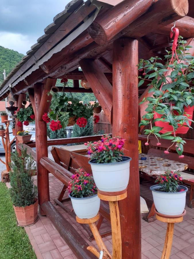 Casa De Oaspeti Cristian Praid Eksteriør bilde