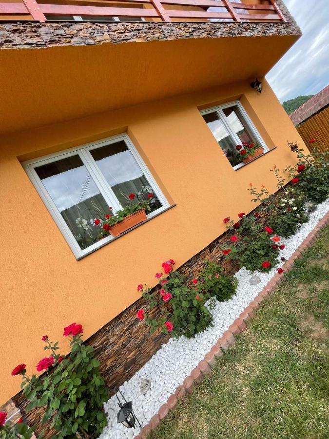 Casa De Oaspeti Cristian Praid Eksteriør bilde